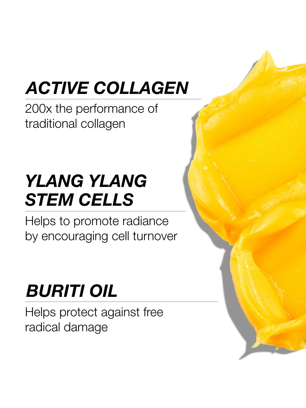 Active Collagen Discovery Set - Image 4